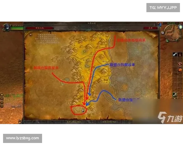 魔兽世界宠物仓库管理地图:全新视角展示宠物收集之路